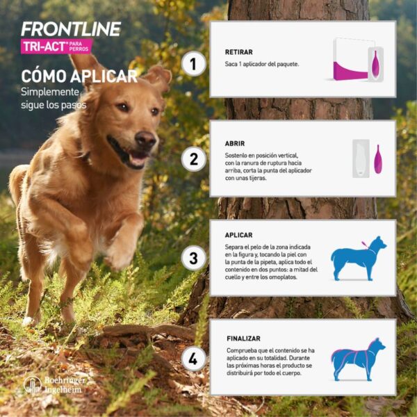 Antiparásitos para perros Frontline Tri-Act - 6 pipetas - Imagen 2