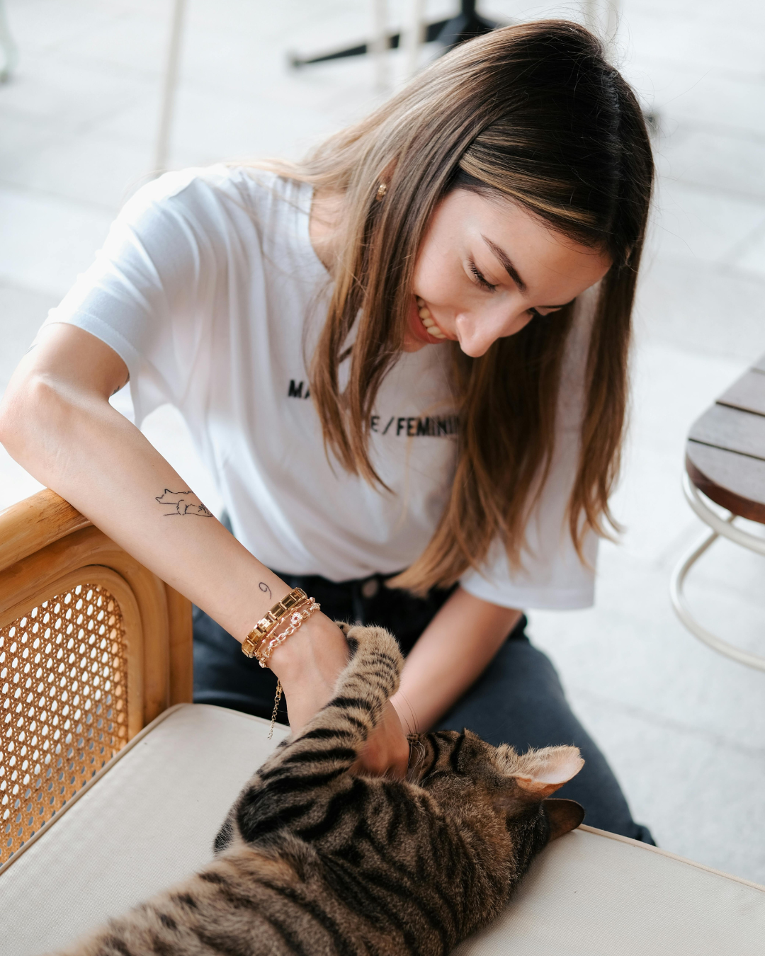 veterinaria veterinaria